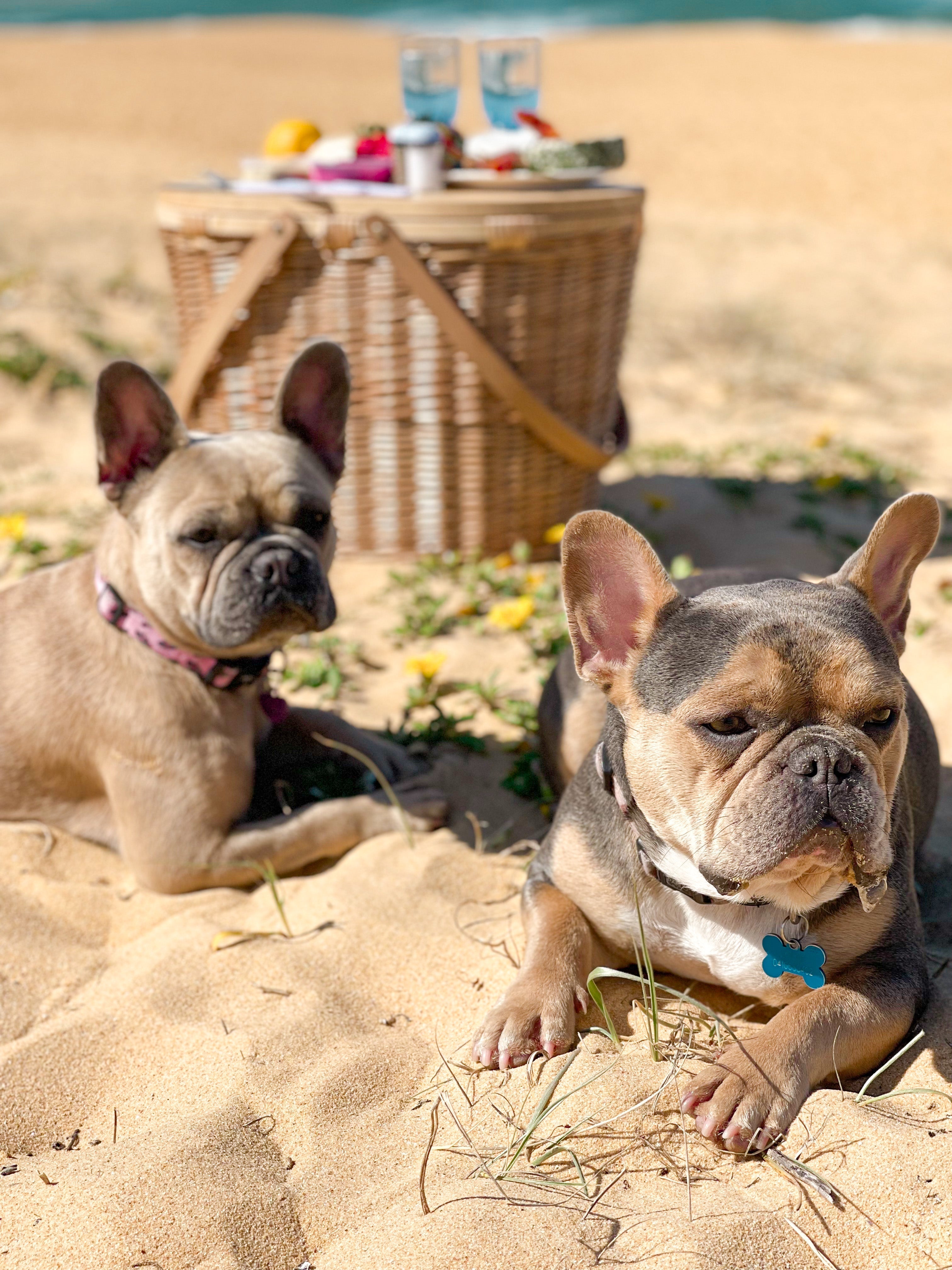 Hand Made Deluxe Oval Picnic Basket With Bonus 15pce Utensil Kit